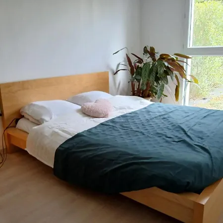 公寓 Le Cosy Avec Jardin Terrasse Couverte Et Parking Gratuit 凯恩