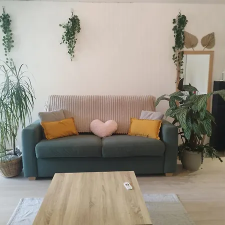 Le Cosy Grand 2 Pieces Avec Terrasse Couverte Jardin Et Place De Parking